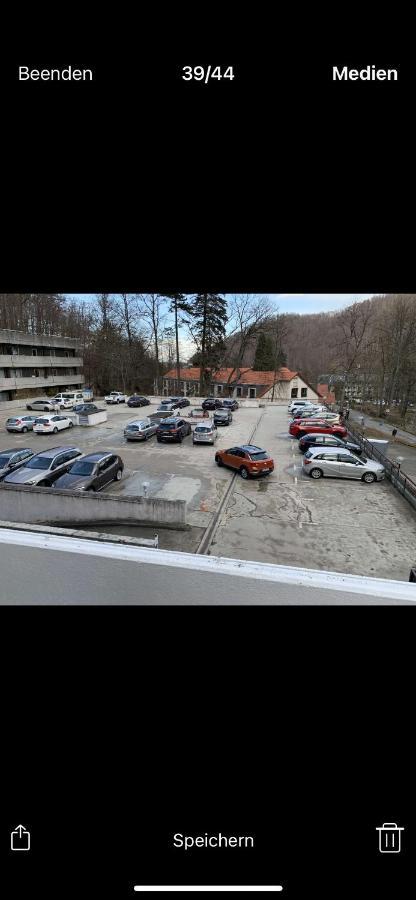 Mariposa 4 Incl Pool & Sauna Bad Harzburg Exterior foto